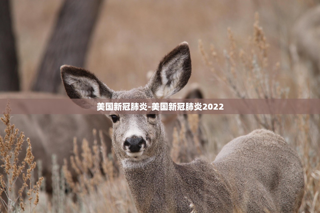 河南新增3例本土确诊6例本土无症状-河南新增本土确诊5例 河南新增3例本土确诊6例本土无症状-河南新增本土确诊5例