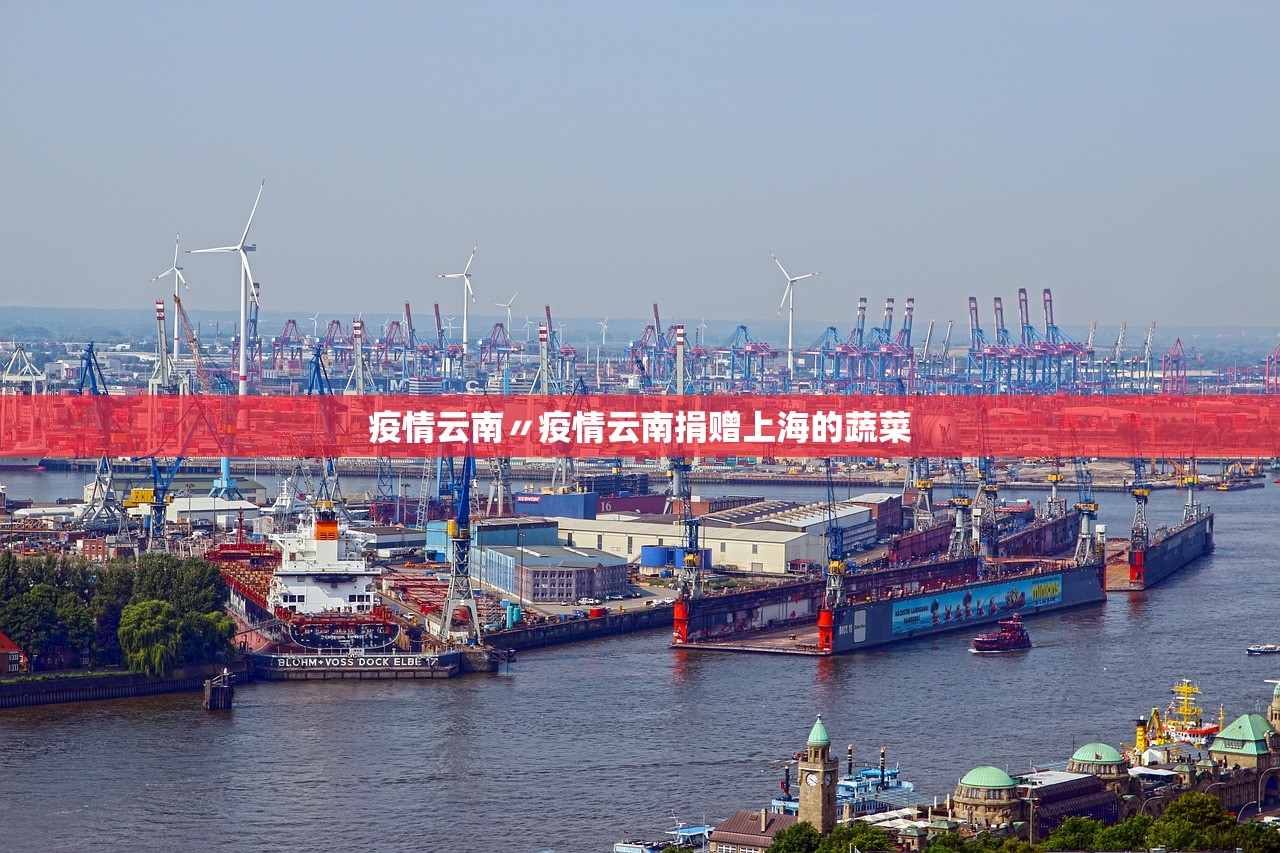 疫情云南〃疫情云南捐赠上海的蔬菜 疫情云南〃疫情云南捐赠上海的蔬菜