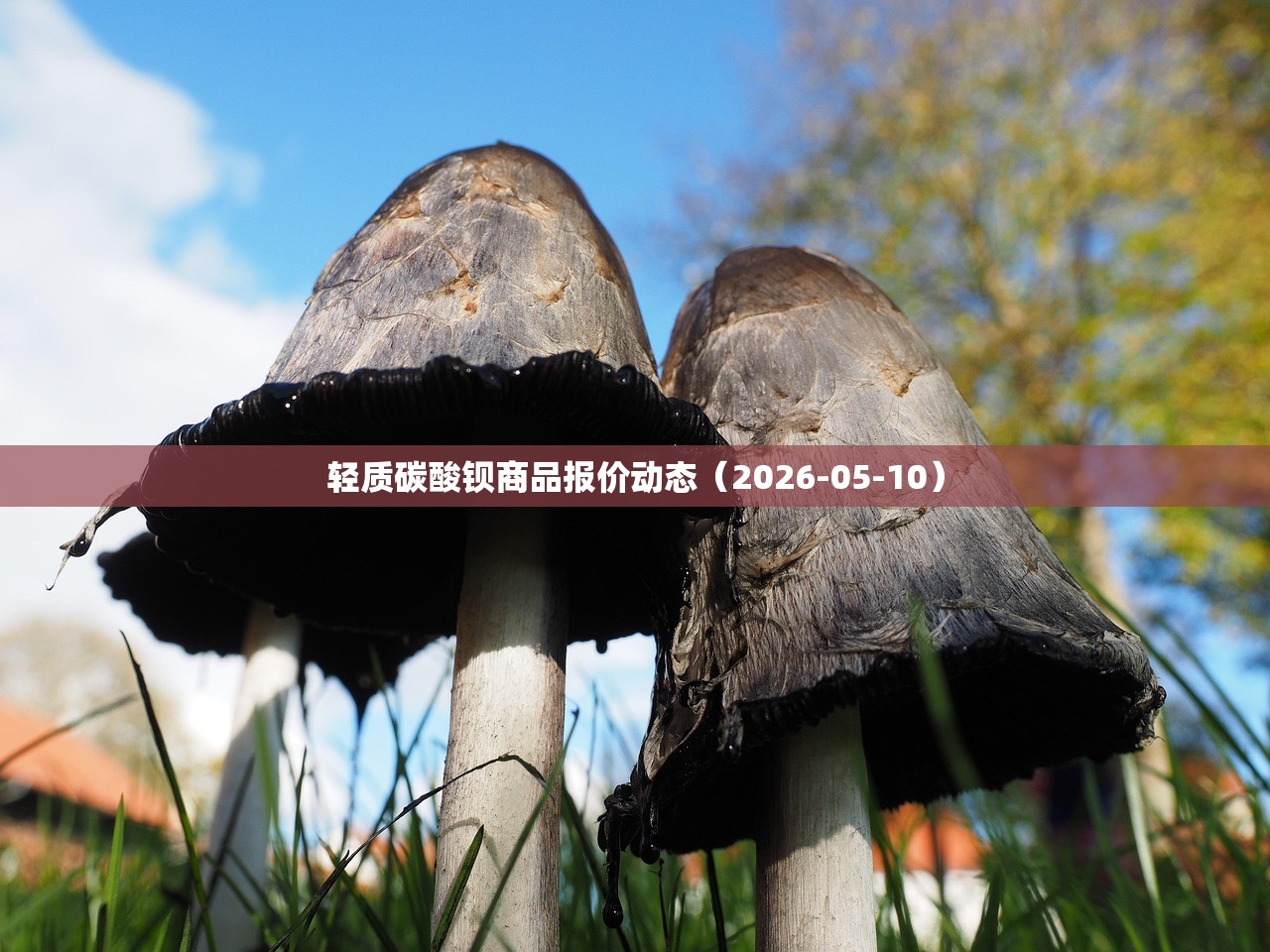 2022北京冬奥会闭幕式几点开始-北京2022年冬奥会会徽