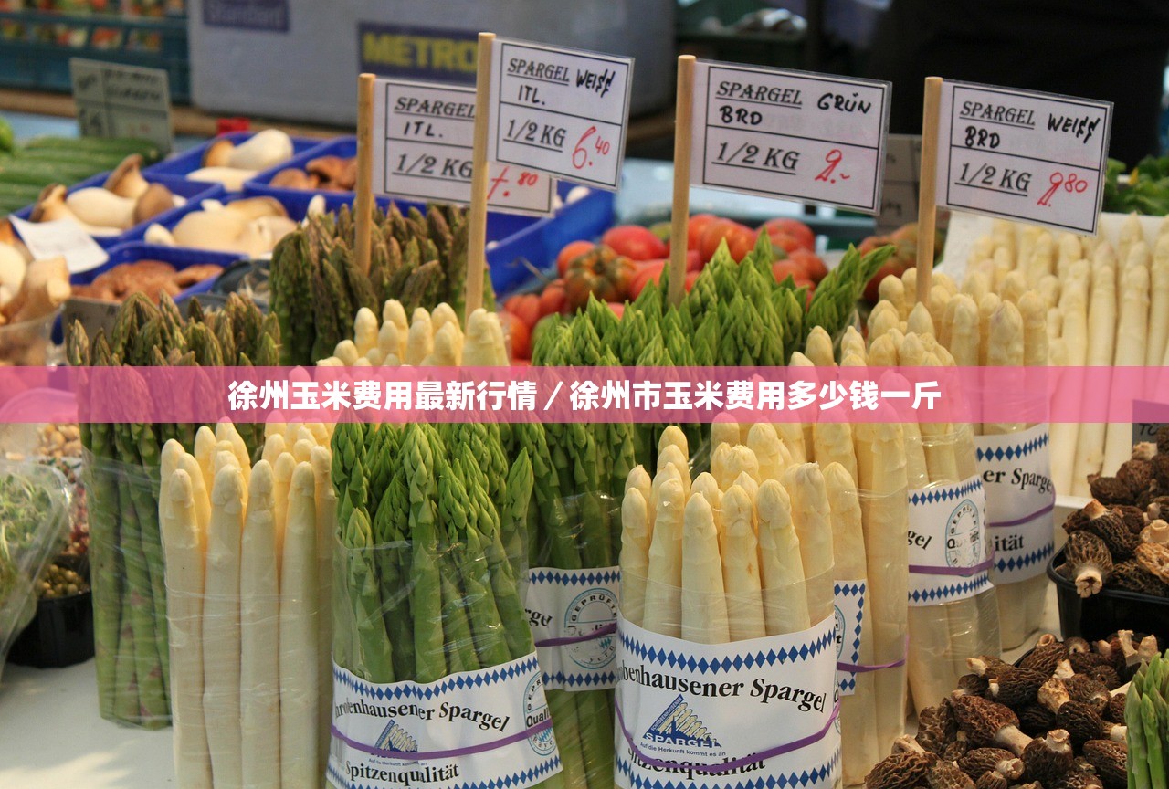 白酒品牌年轻化 需摒弃“形式化”
