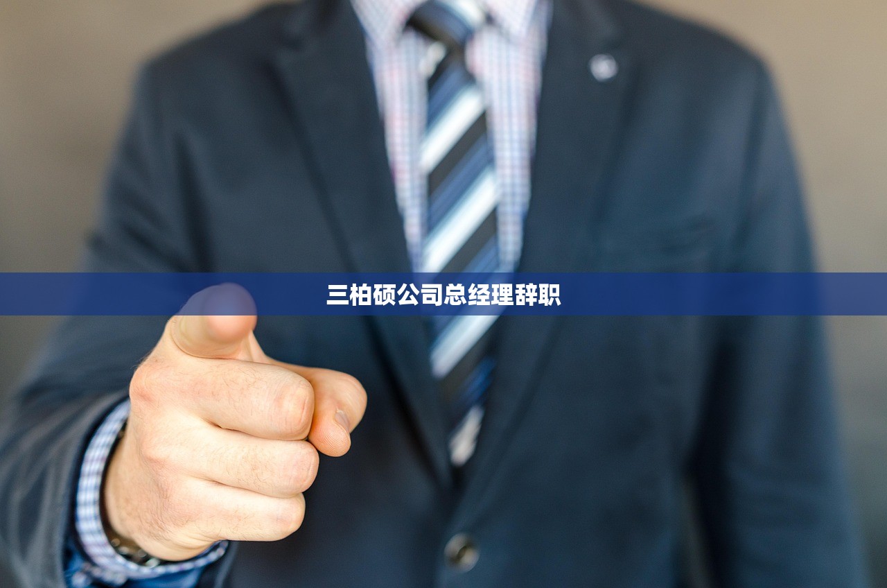 三柏硕公司总经理辞职 三柏硕公司总经理辞职