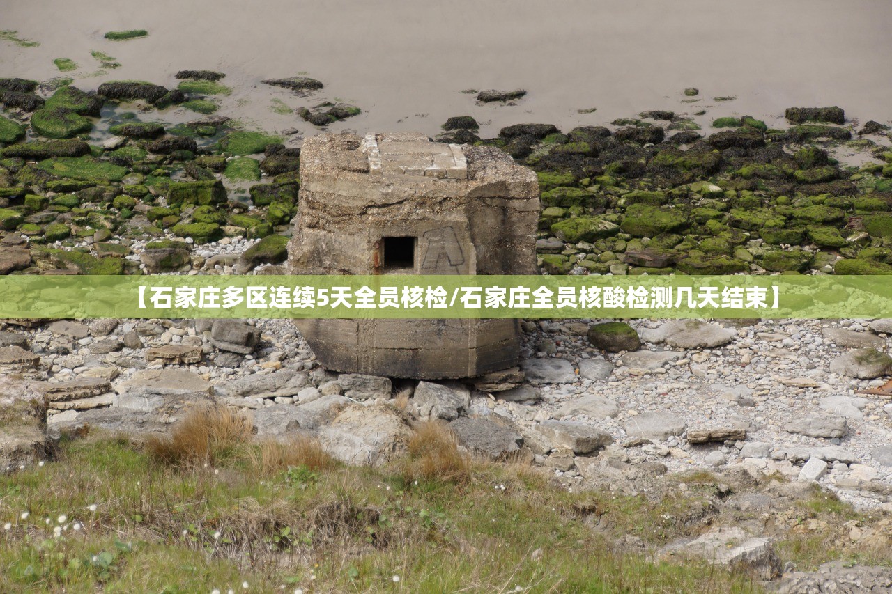 玩家辅助神器“决战血流麻将万能开挂器通用版	”(必备工具)辅助教学