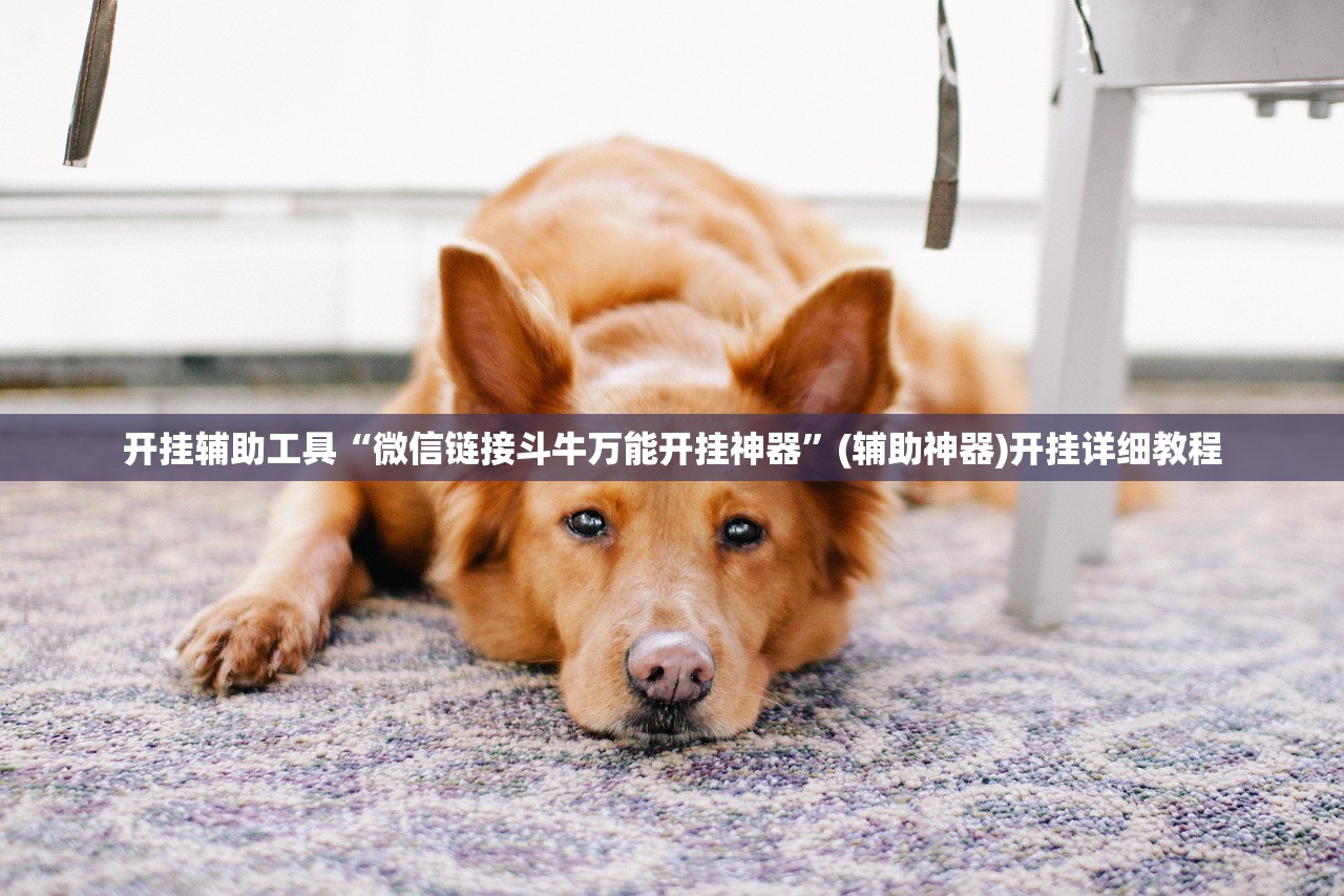 开挂辅助工具“微信链接斗牛万能开挂神器	”(辅助神器)开挂详细教程