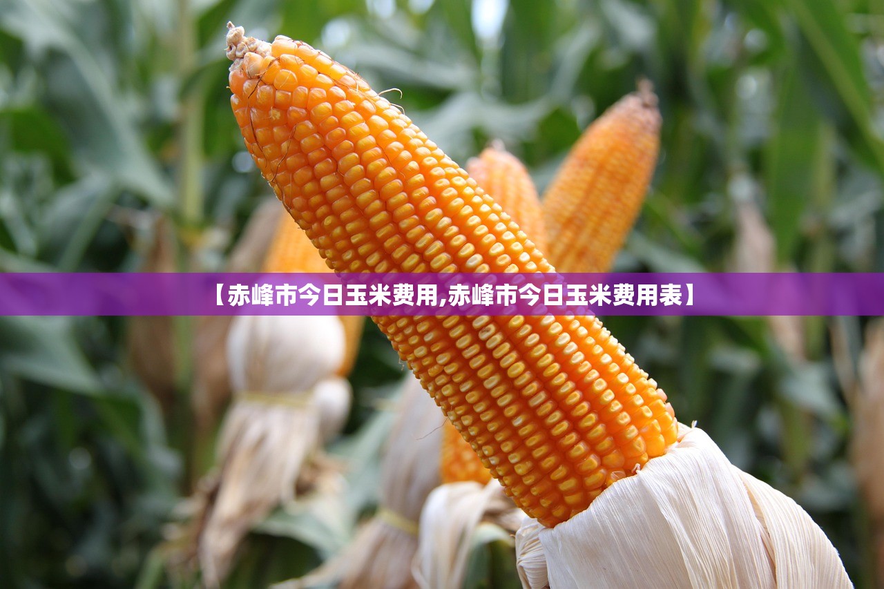 【赤峰市今日玉米费用,赤峰市今日玉米费用表】 【赤峰市今日玉米费用,赤峰市今日玉米费用表】