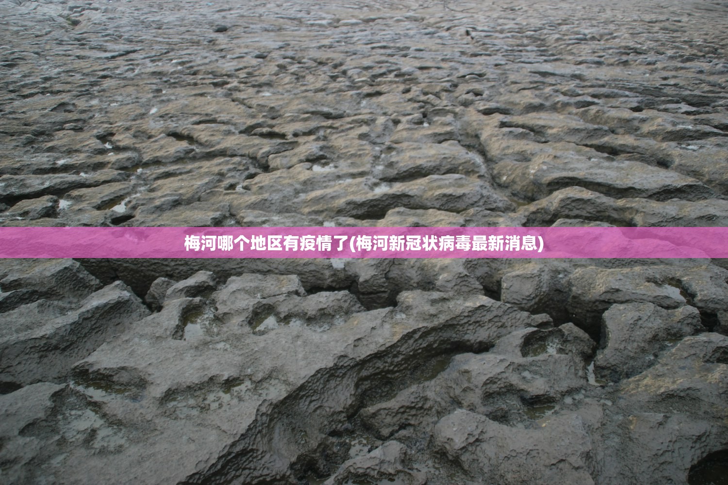 梅河哪个地区有疫情了(梅河新冠状病毒最新消息) 梅河哪个地区有疫情了(梅河新冠状病毒最新消息)