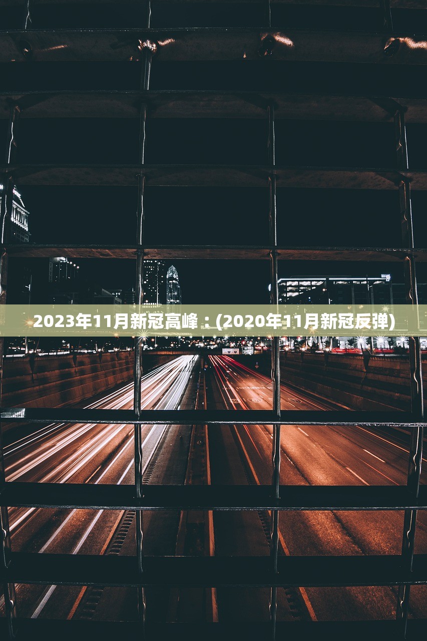 2023年11月新冠高峰︰(2020年11月新冠反弹)
