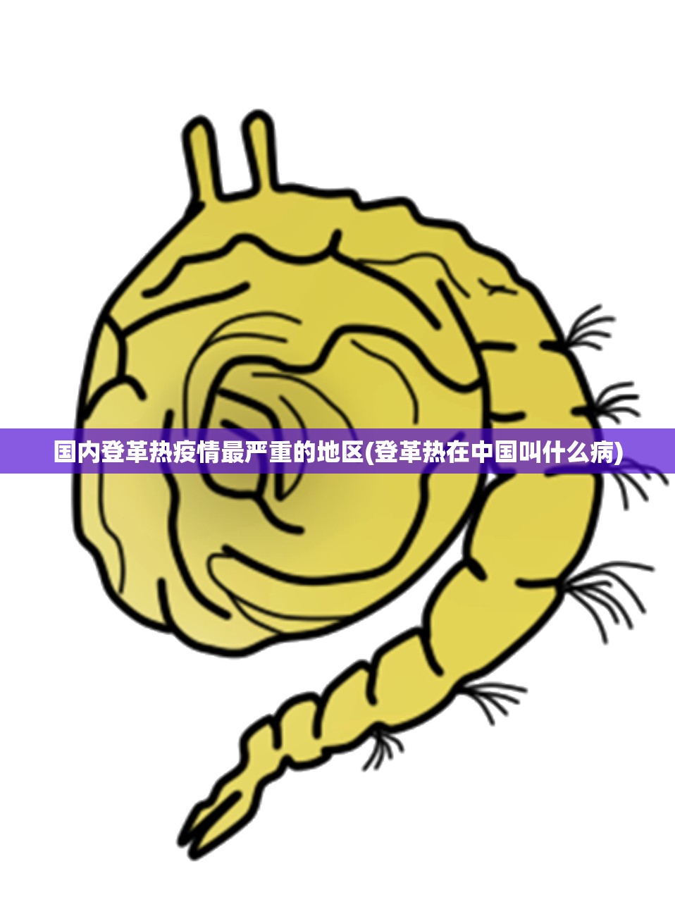 国内登革热疫情最严重的地区(登革热在中国叫什么病) 国内登革热疫情最严重的地区(登革热在中国叫什么病)