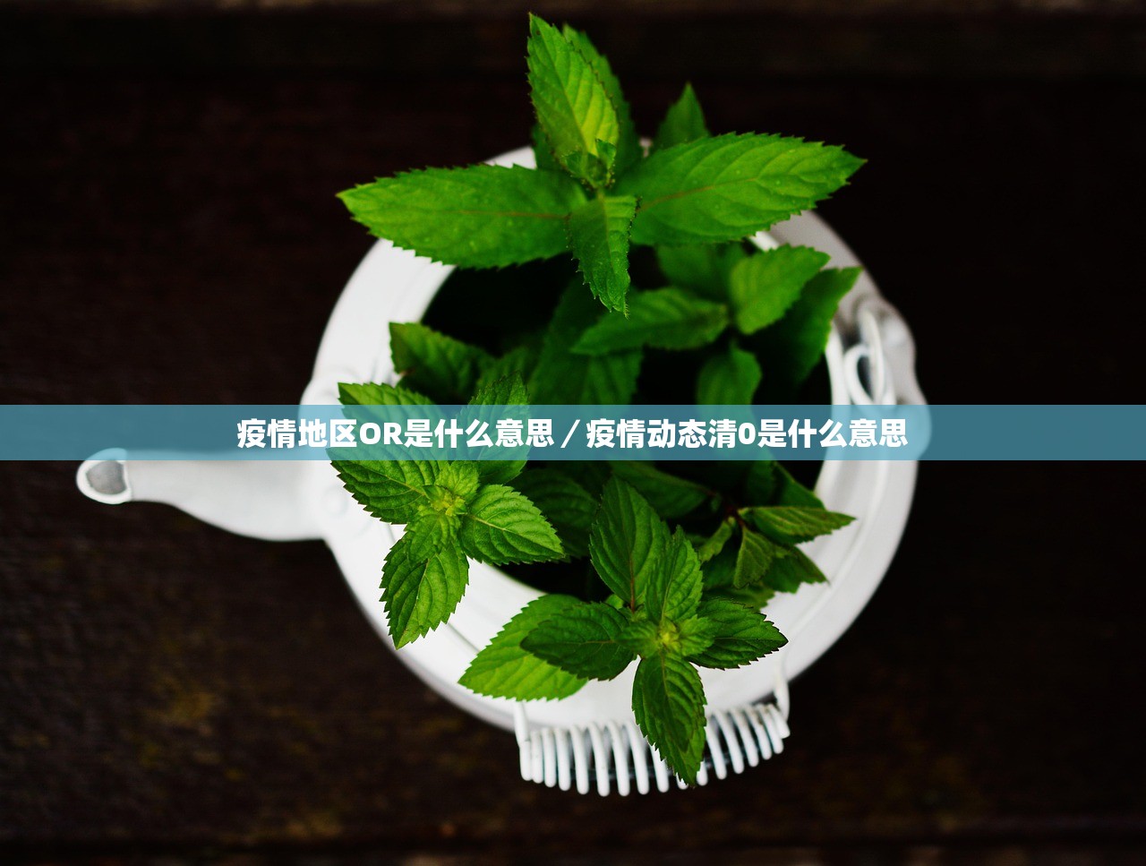 疫情地区OR是什么意思/疫情动态清0是什么意思 疫情地区OR是什么意思/疫情动态清0是什么意思