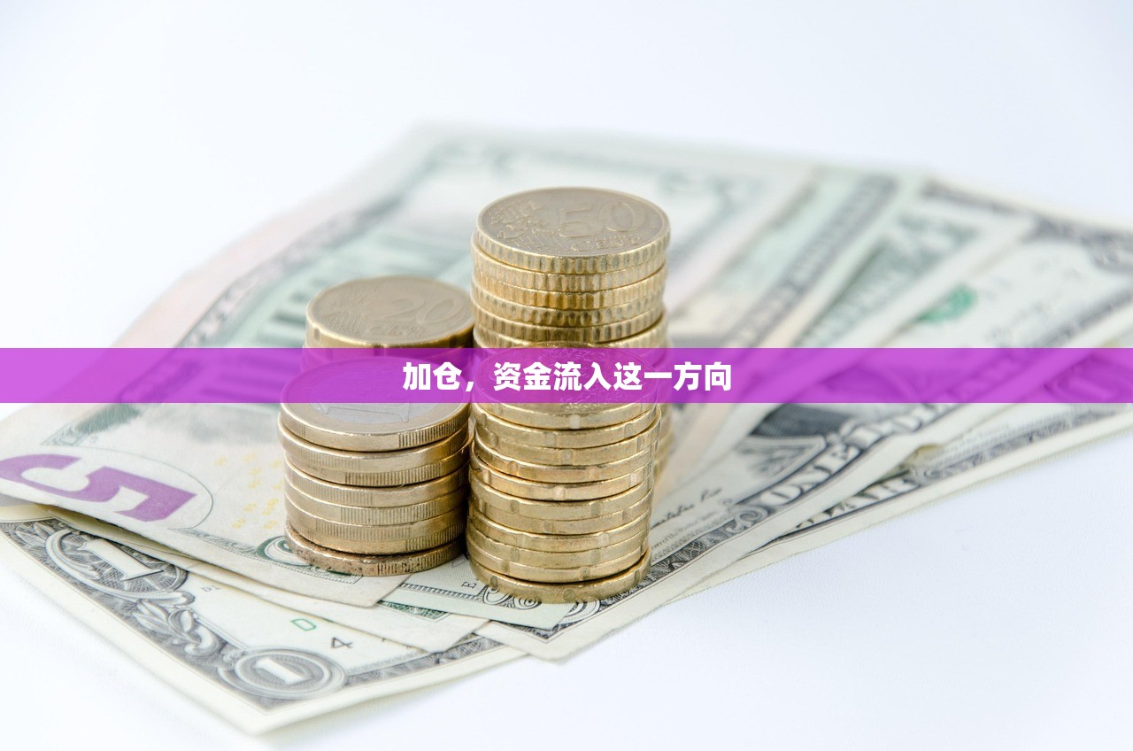 加仓，资金流入这一方向