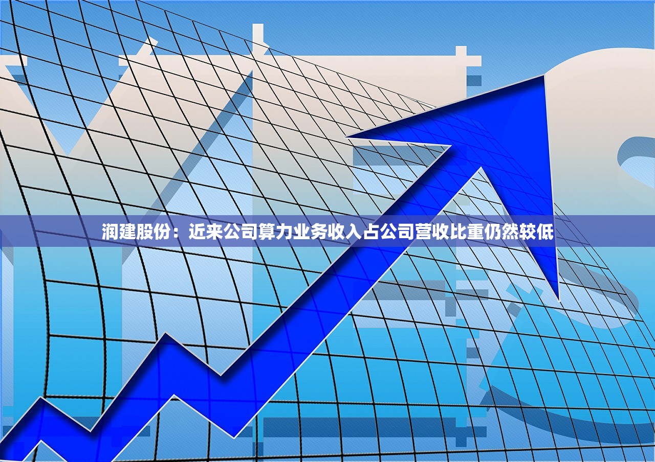 润建股份：近来公司算力业务收入占公司营收比重仍然较低