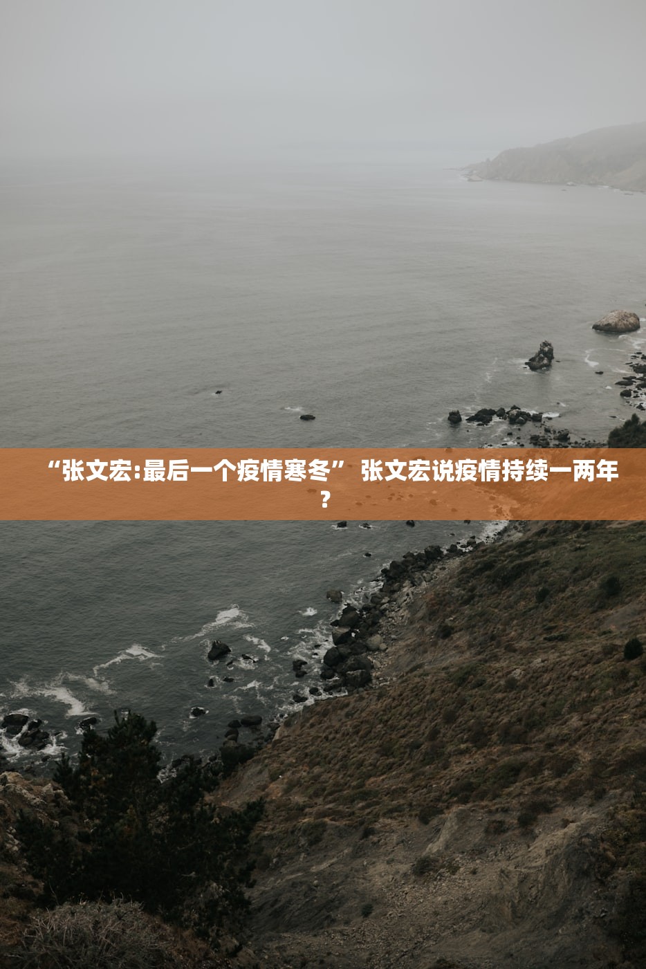 “张文宏:最后一个疫情寒冬” 张文宏说疫情持续一两年？
