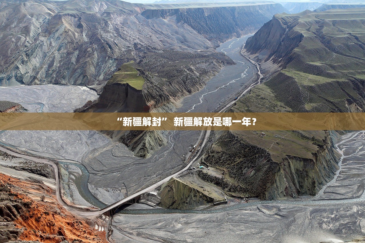 “新疆解封	” 新疆解放是哪一年？