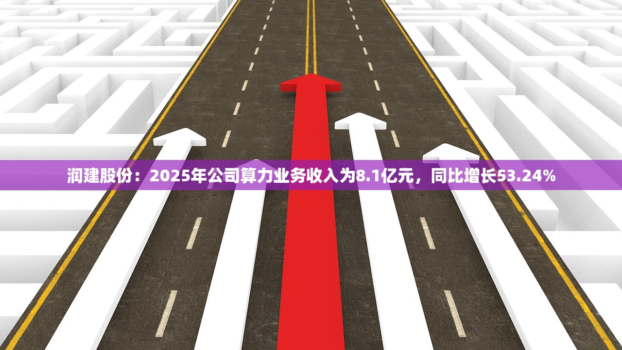 润建股份：2025年公司算力业务收入为8.1亿元	，同比增长53.24%