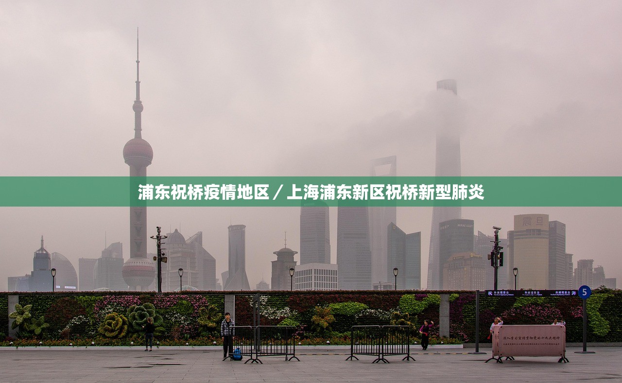 浦东祝桥疫情地区/上海浦东新区祝桥新型肺炎 浦东祝桥疫情地区/上海浦东新区祝桥新型肺炎