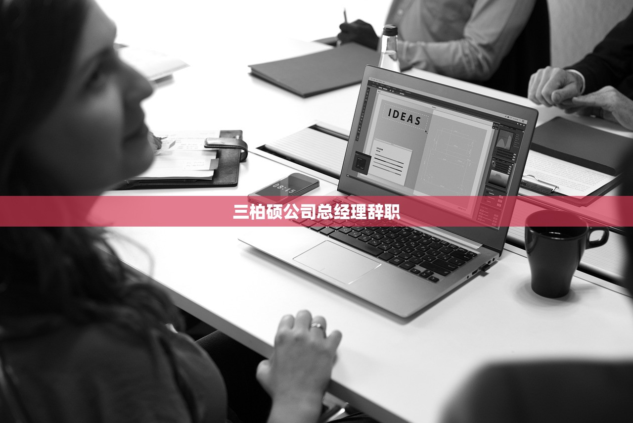三柏硕公司总经理辞职 三柏硕公司总经理辞职