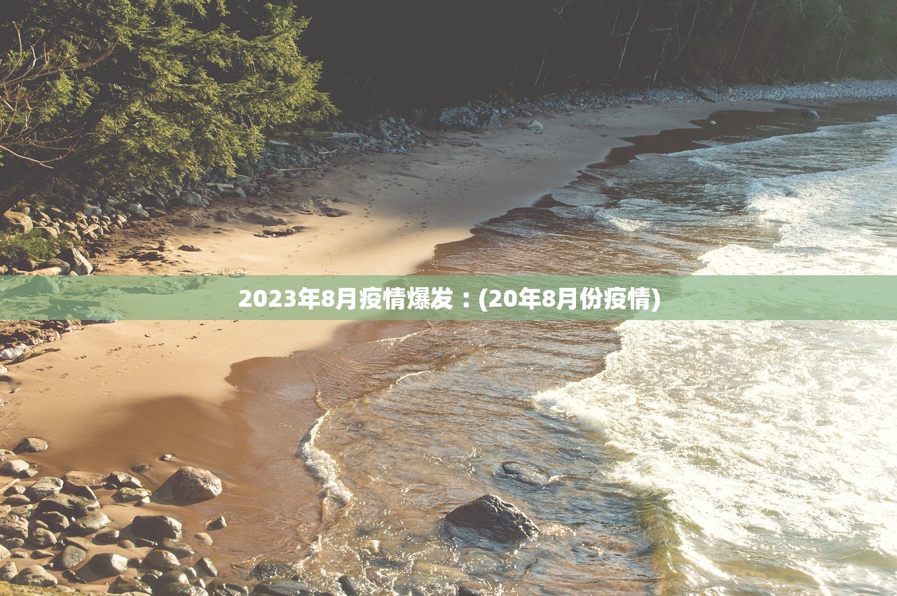 2023年8月疫情爆发︰(20年8月份疫情) 2023年8月疫情爆发︰(20年8月份疫情)