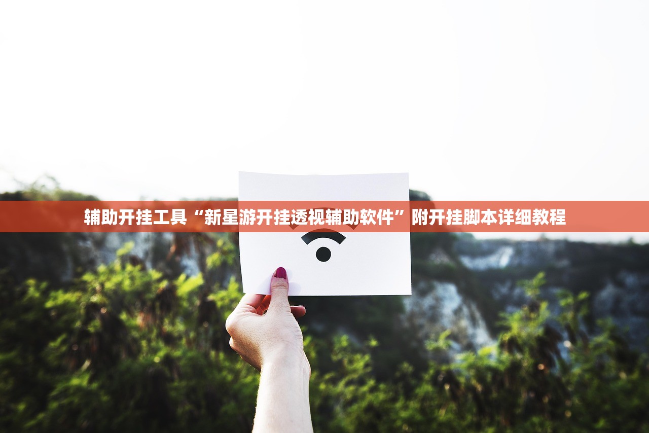 辅助开挂工具“新星游开挂透视辅助软件”附开挂脚本详细教程