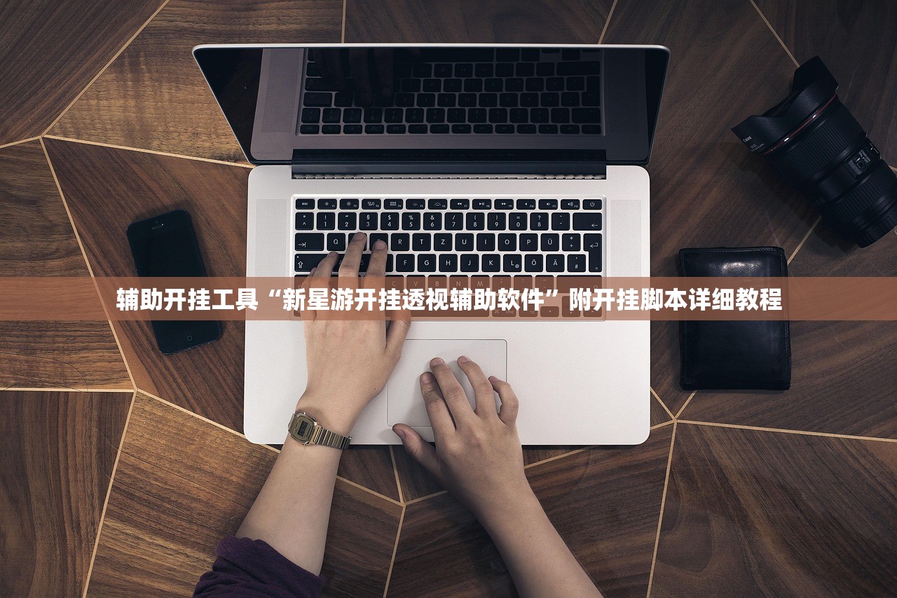 辅助开挂工具“新星游开挂透视辅助软件”附开挂脚本详细教程