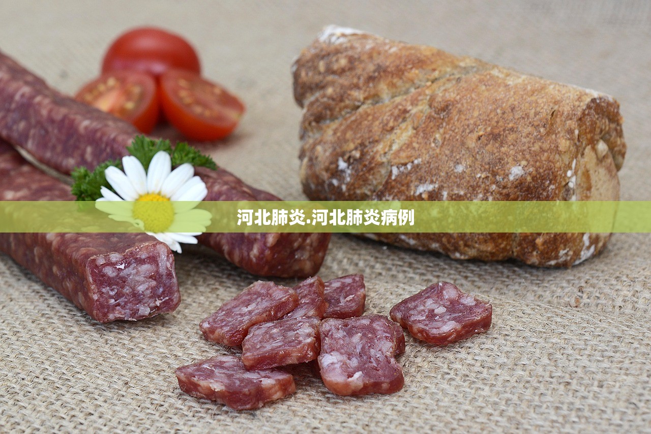 河北肺炎.河北肺炎病例 河北肺炎.河北肺炎病例