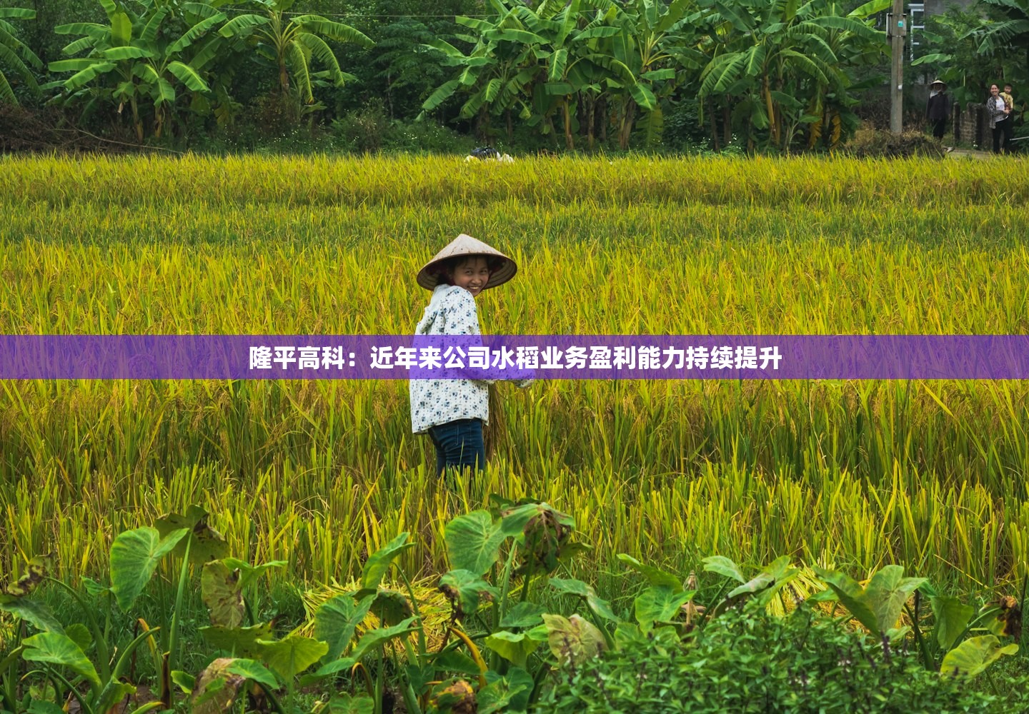 「31省新增本土确诊50例」〃31省份新增本土确诊53例?