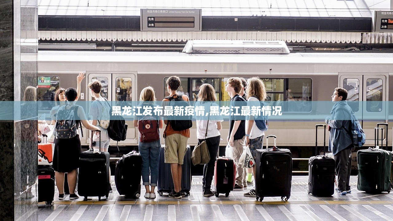 黑龙江发布最新疫情,黑龙江最新情况