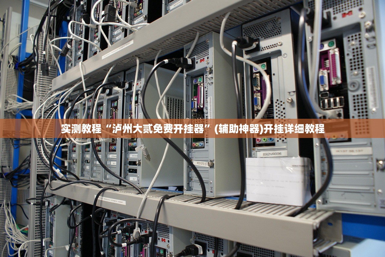 实测教程“泸州大贰免费开挂器”(辅助神器)开挂详细教程