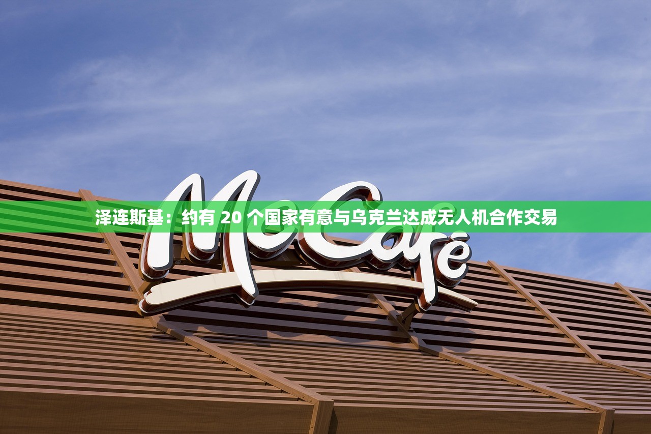 泽连斯基:约有 20 个国家有意与乌克兰达成无人机合作交易 泽连斯基:约有 20 个国家有意与乌克兰达成无人机合作交易