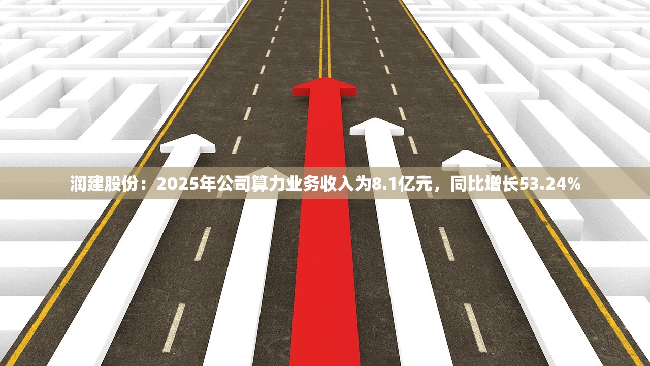 润建股份：2025年公司算力业务收入为8.1亿元	，同比增长53.24%