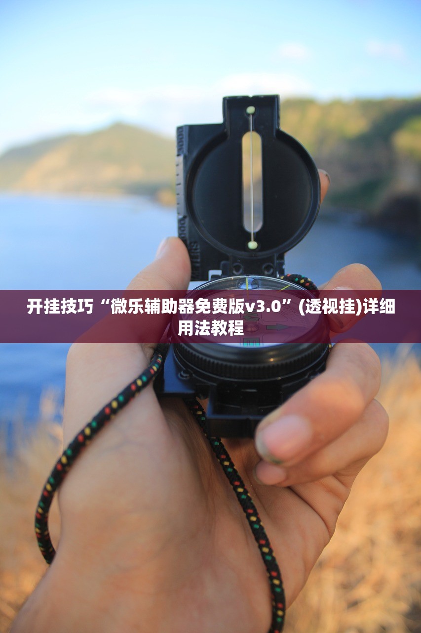 开挂技巧“微乐辅助器免费版v3.0”(透视挂)详细用法教程