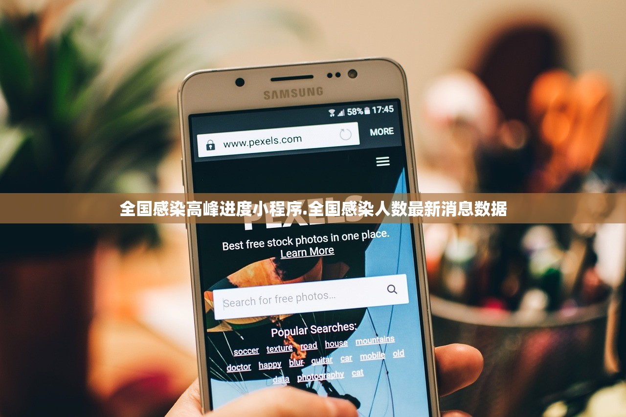 全国感染高峰进度小程序.全国感染人数最新消息数据