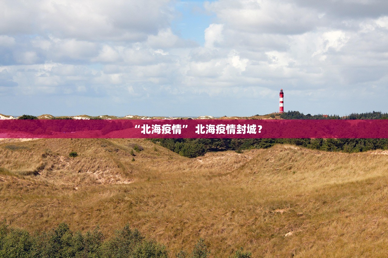 “北海疫情	” 北海疫情封城？