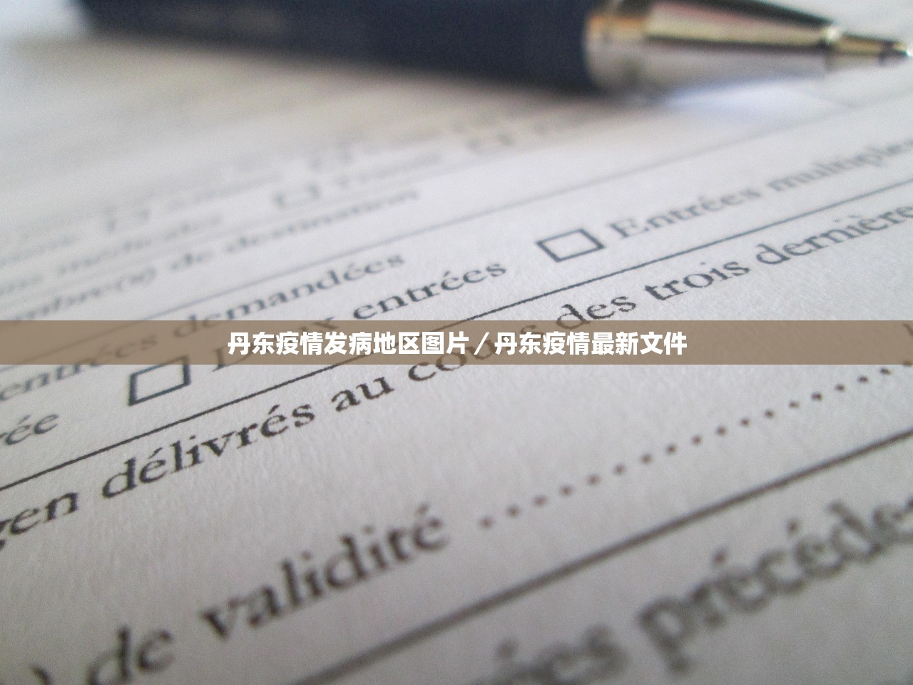 丹东疫情发病地区图片/丹东疫情最新文件 丹东疫情发病地区图片/丹东疫情最新文件