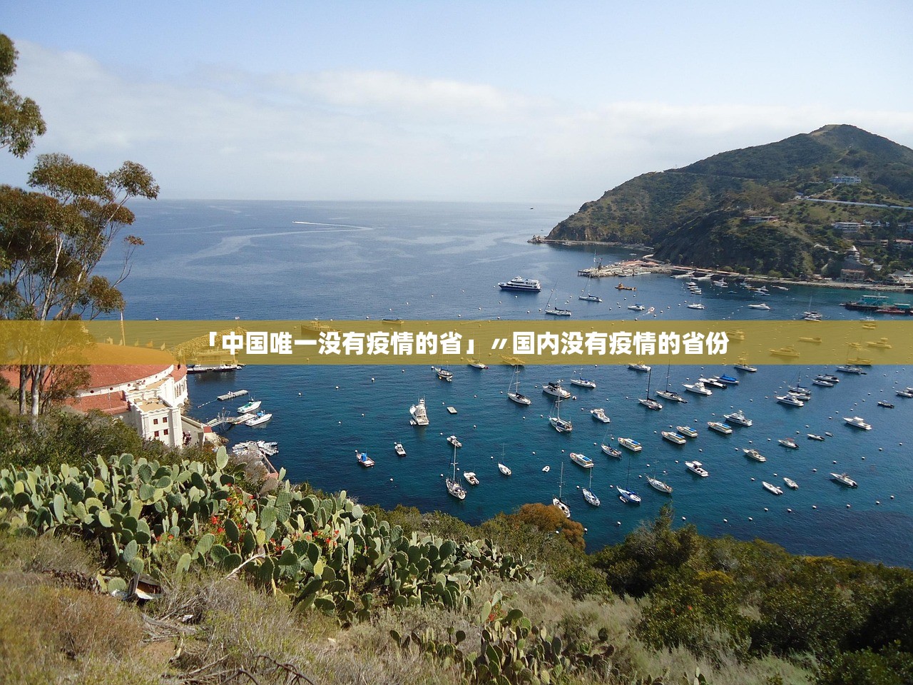 「中国唯一没有疫情的省」〃国内没有疫情的省份 「中国唯一没有疫情的省」〃国内没有疫情的省份