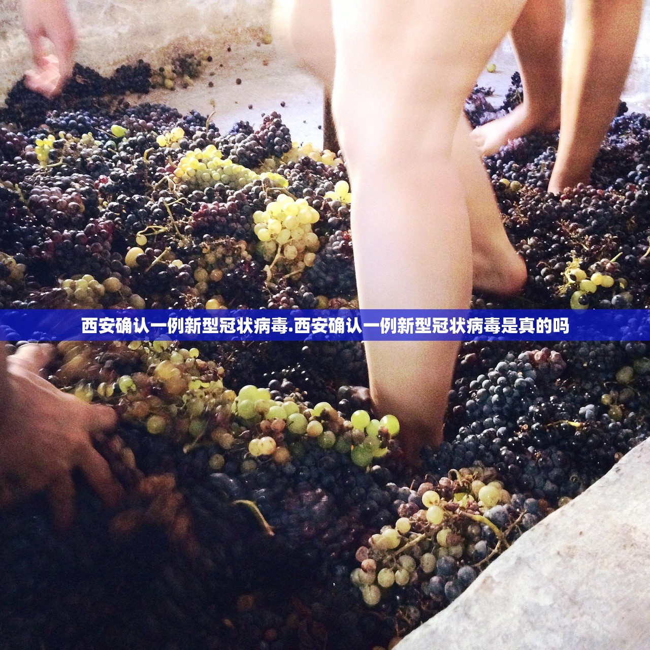西安确认一例新型冠状病毒.西安确认一例新型冠状病毒是真的吗