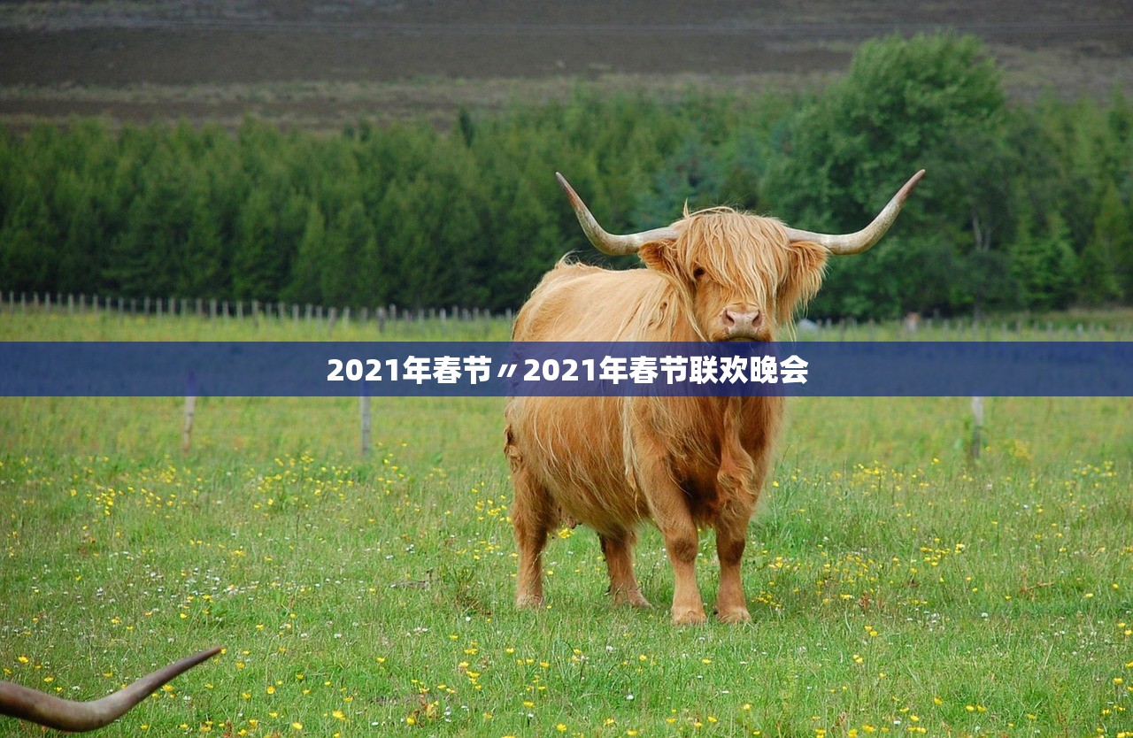 2021年春节〃2021年春节联欢晚会 2021年春节〃2021年春节联欢晚会