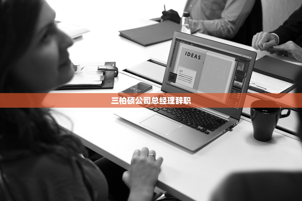 三柏硕公司总经理辞职 三柏硕公司总经理辞职
