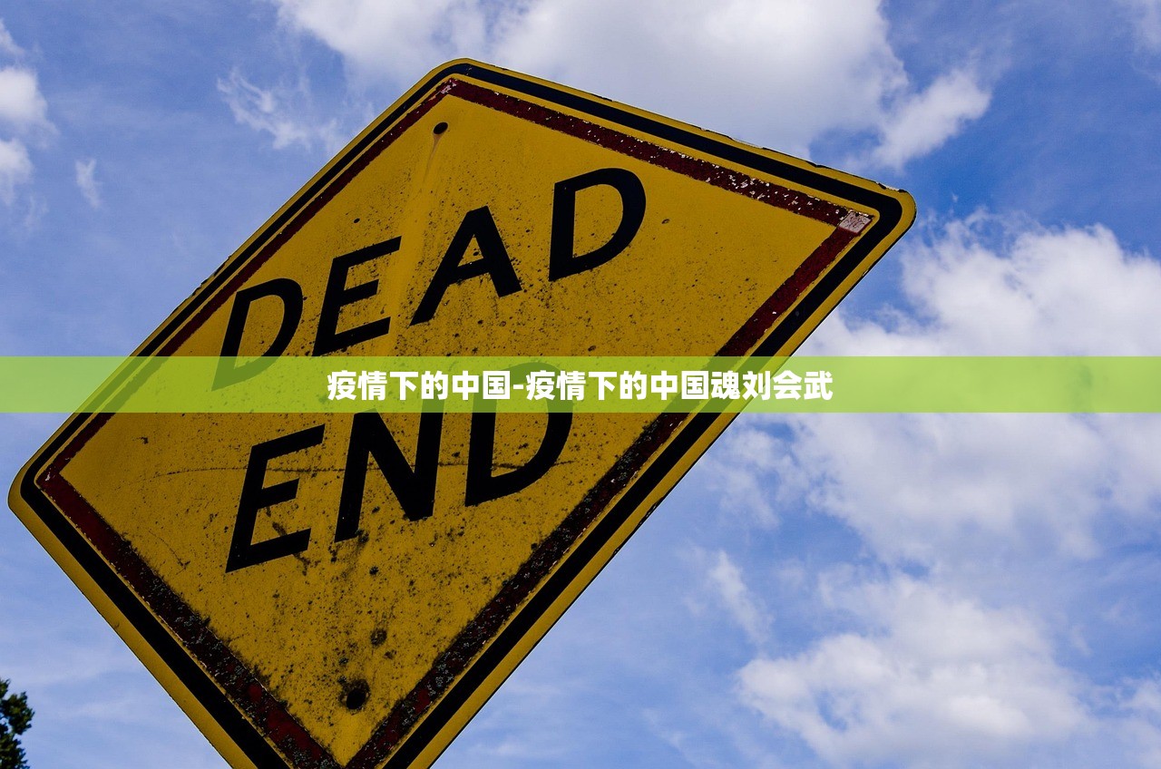 疫情下的中国-疫情下的中国魂刘会武