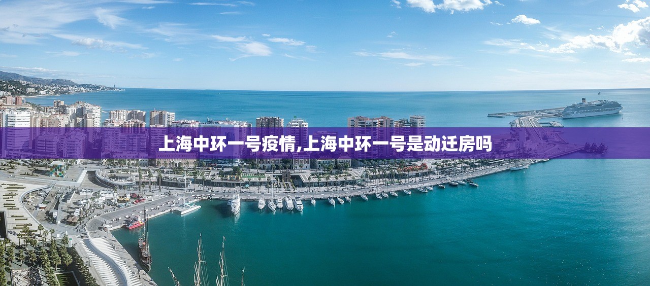 上海中环一号疫情,上海中环一号是动迁房吗