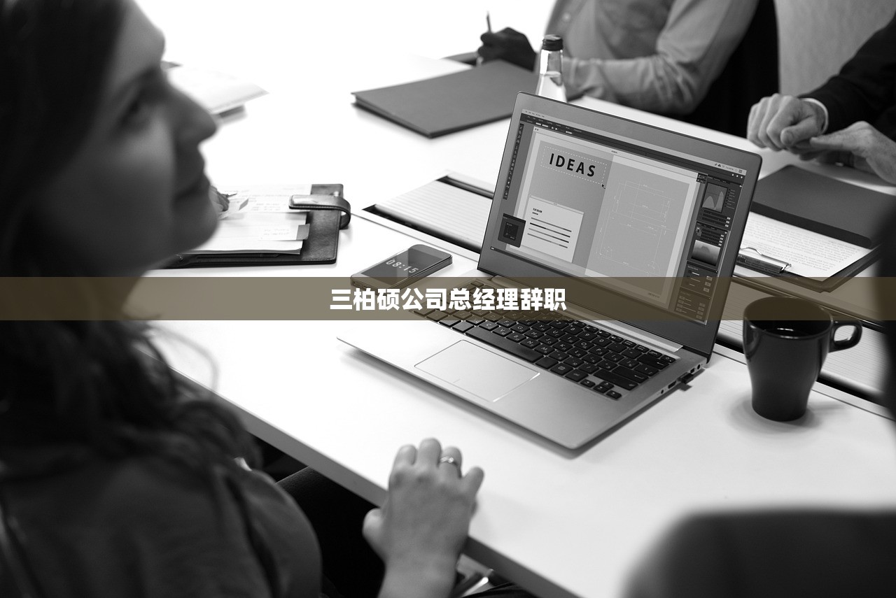 三柏硕公司总经理辞职