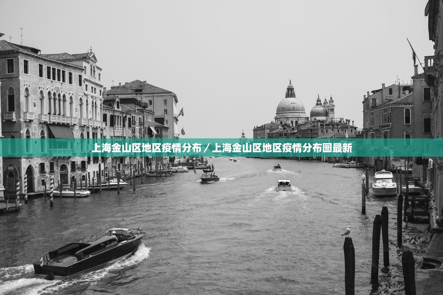 上海金山区地区疫情分布／上海金山区地区疫情分布图最新