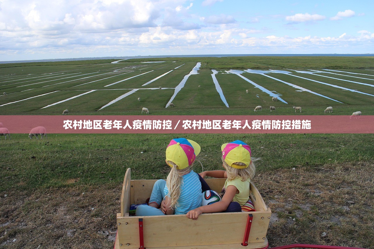农村地区老年人疫情防控/农村地区老年人疫情防控措施 农村地区老年人疫情防控/农村地区老年人疫情防控措施