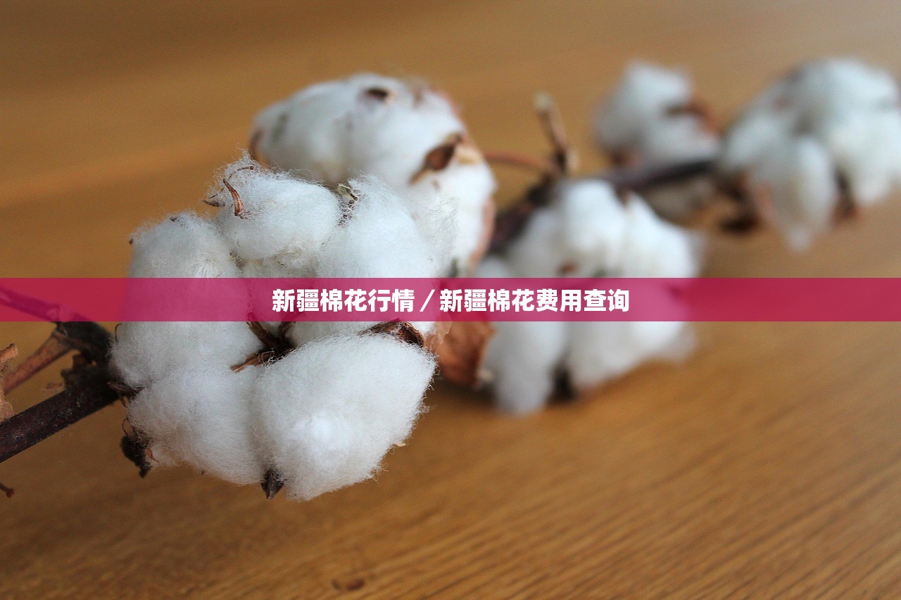新疆棉花行情/新疆棉花费用查询 新疆棉花行情/新疆棉花费用查询