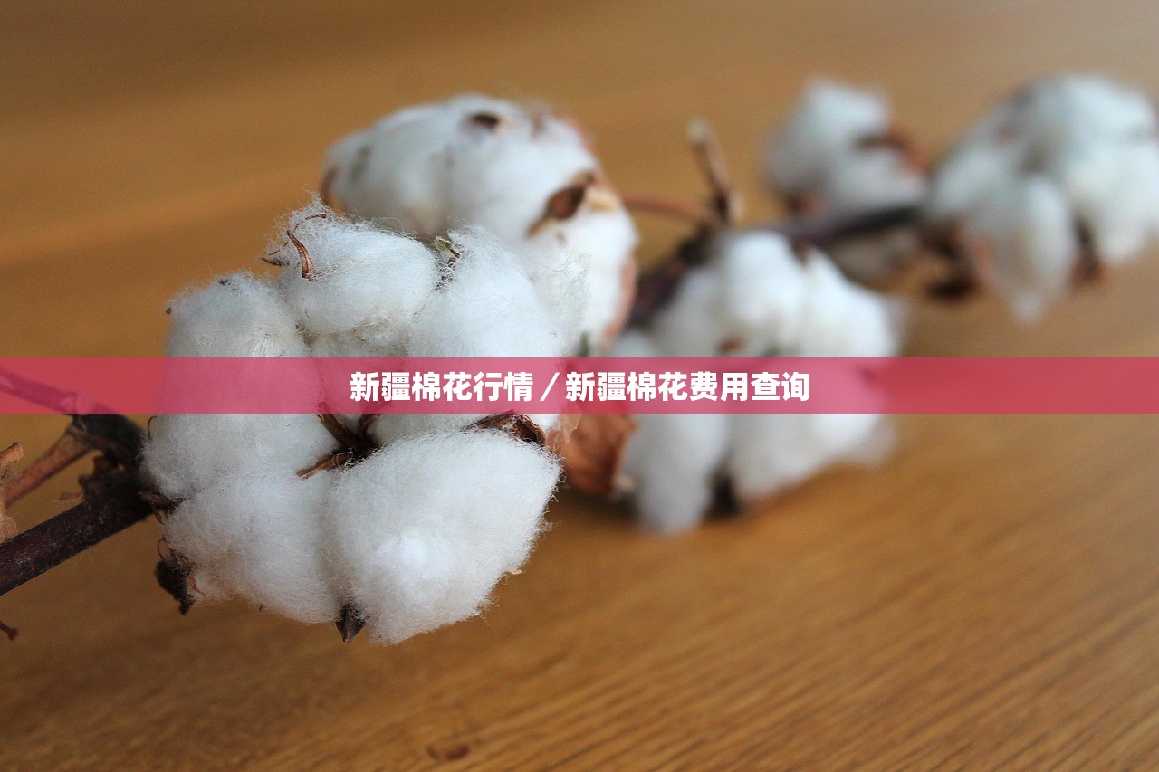 新疆棉花行情/新疆棉花费用查询 新疆棉花行情/新疆棉花费用查询