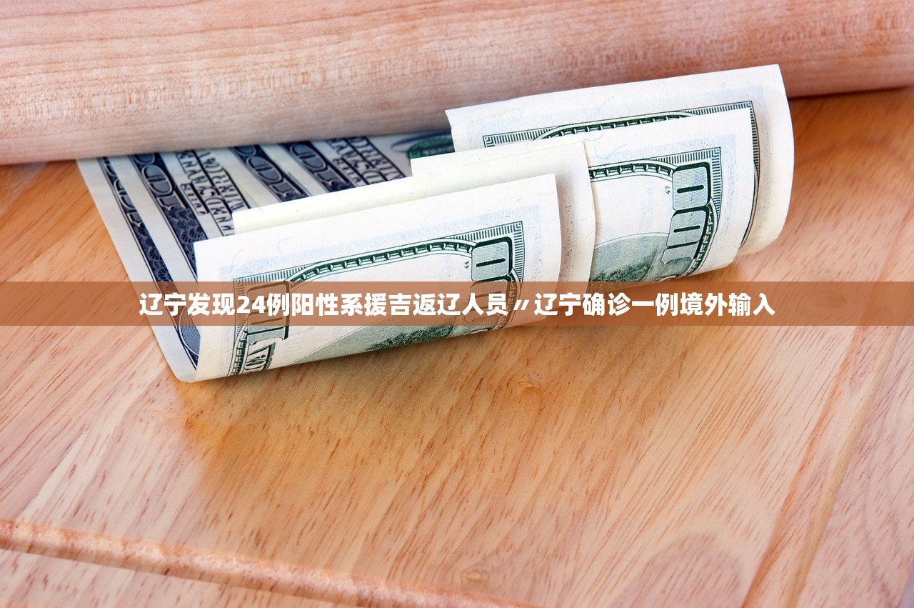 辽宁发现24例阳性系援吉返辽人员〃辽宁确诊一例境外输入