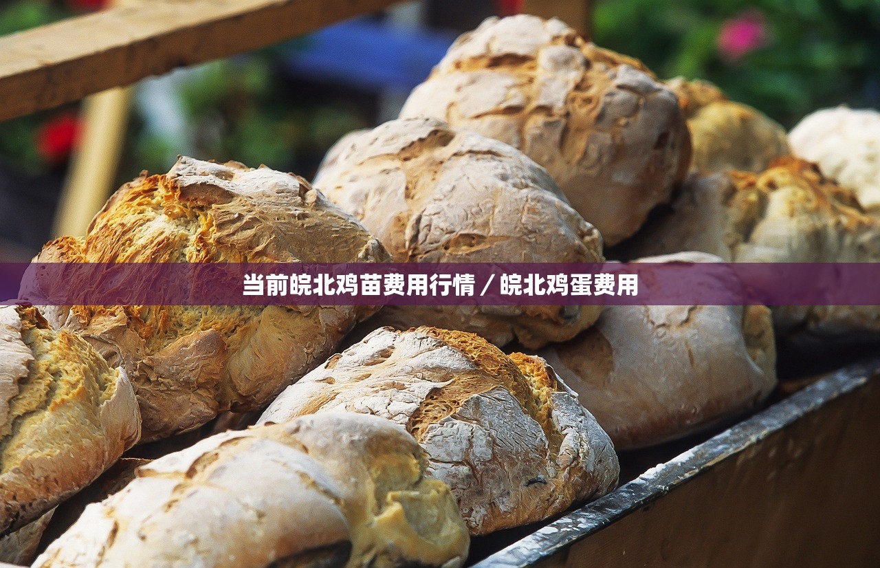 当前皖北鸡苗费用行情／皖北鸡蛋费用