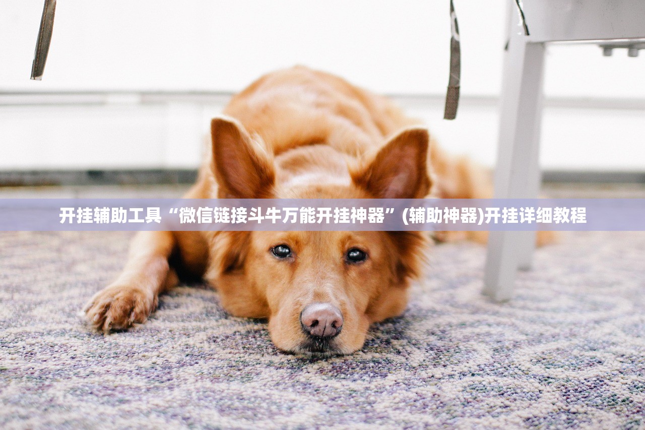 开挂辅助工具“微信链接斗牛万能开挂神器	”(辅助神器)开挂详细教程