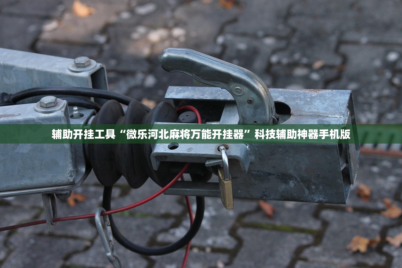 辅助开挂工具“微乐河北麻将万能开挂器	”科技辅助神器手机版