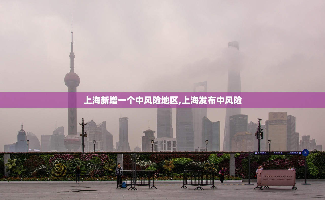 上海新增一个中风险地区,上海发布中风险 上海新增一个中风险地区,上海发布中风险