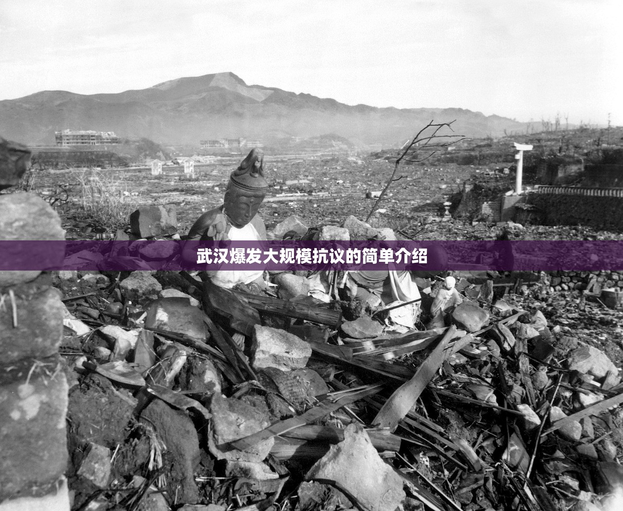 武汉爆发大规模抗议的简单介绍 武汉爆发大规模抗议的简单介绍
