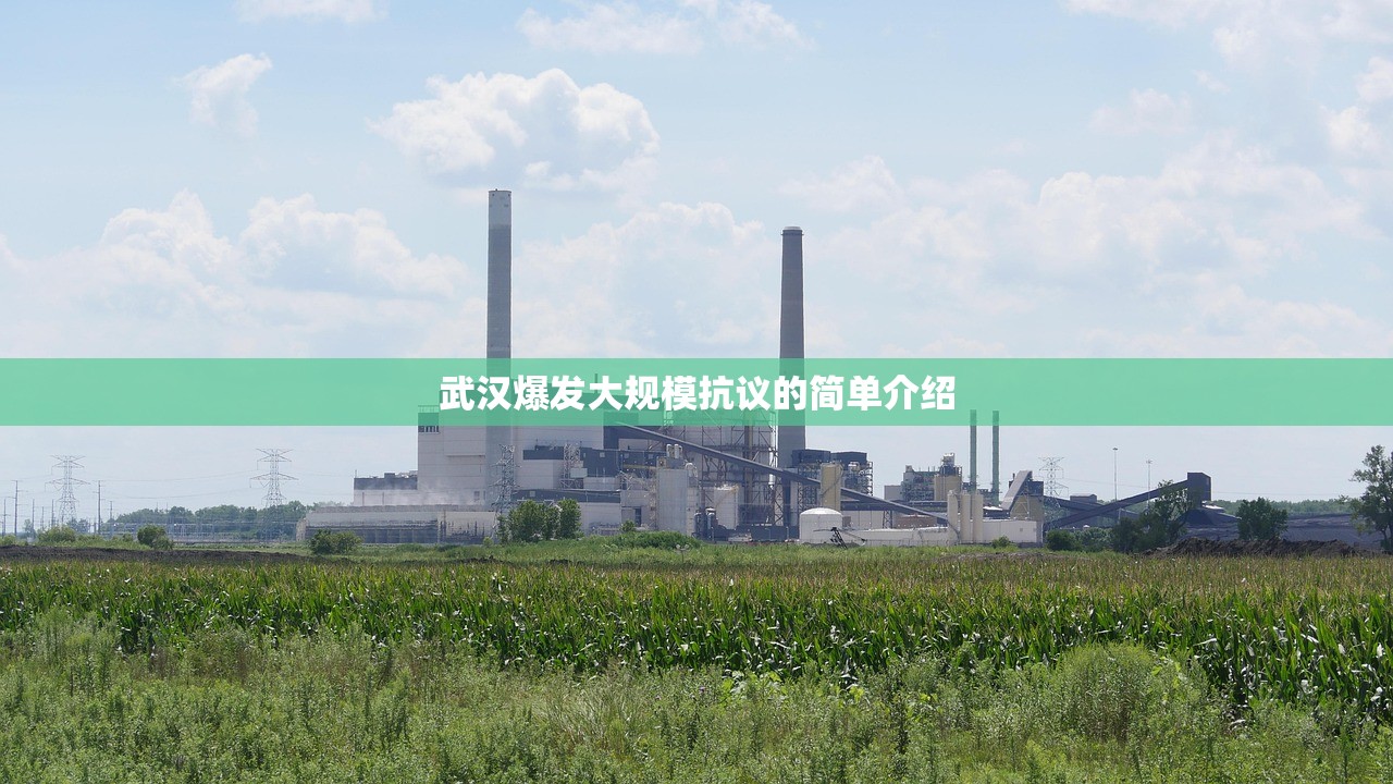 武汉爆发大规模抗议的简单介绍 武汉爆发大规模抗议的简单介绍